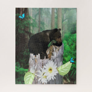 Baby Brown Bear Cub on Treppe,