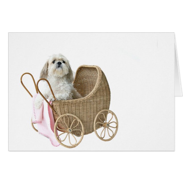 Baby Buggy Shih Tzu (Vorderseite (Horizontal))