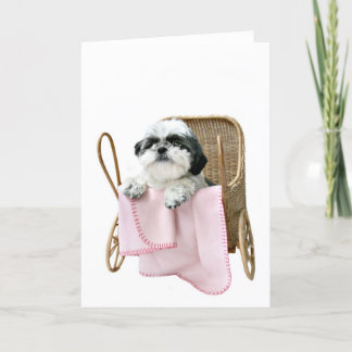Baby-Buggy Shih Tzu Karte