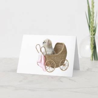 Baby-Buggy Shih Tzu Karte