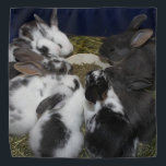 Baby Bunnies Halstuch<br><div class="desc">Zwei meiner Rettungsbrände hatten ein paar Tage voneinander entfernt. Hier sind alle Babys zusammen, sobald sie von ihren Mamas got haben.</div>