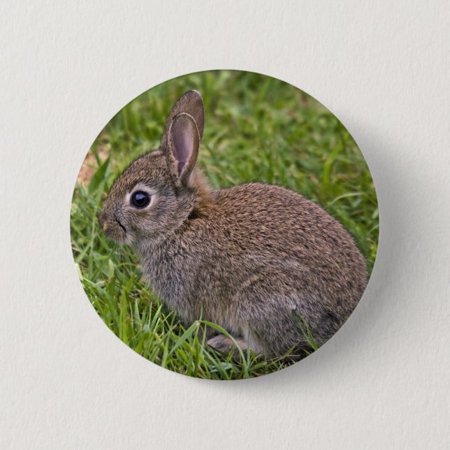 Baby Bunny Abzeichen Button (Vorderseite)