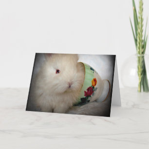 Baby-Bunny für alle Anlässe  Karte