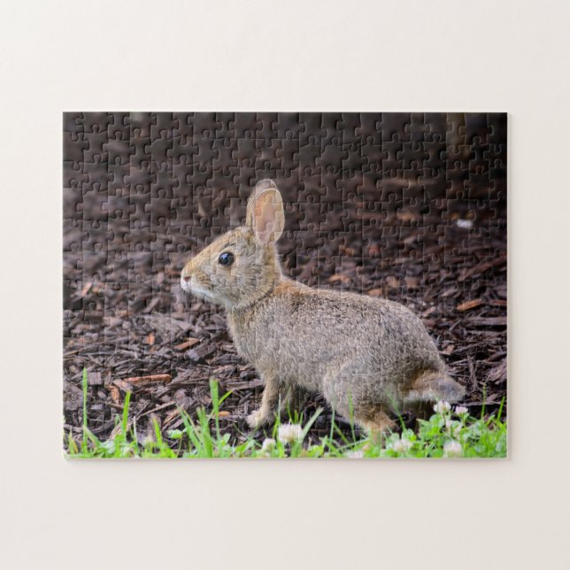 Baby Bunny Jigsaw Puzzle (Horizontal)