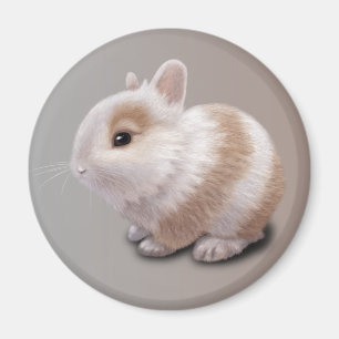 Baby Bunny Magnet