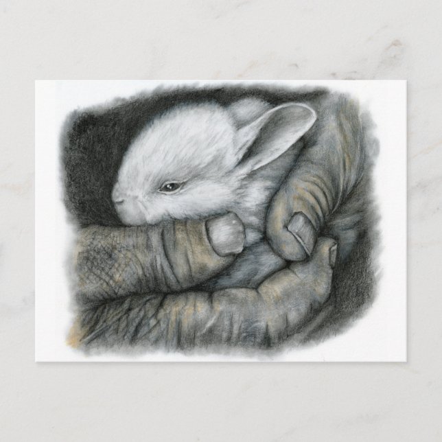 BABY BUNNY POSTKARTE (Vorderseite)