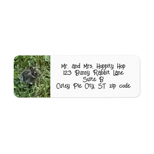 Baby Bunny Rabbit Address Labels (Vorne)