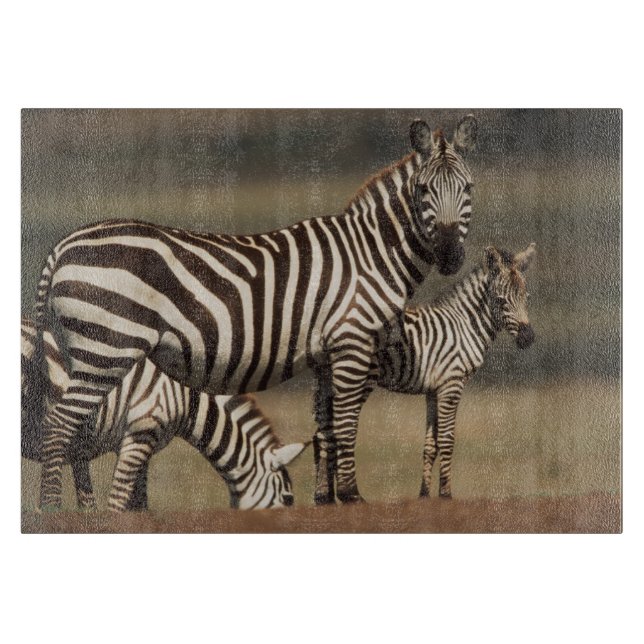 Baby Burchell's Zebra mit Mutter Schneidebrett (Vorderseite)