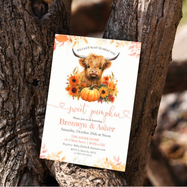 Baby Calf Cow Pumpkin Baby Dusche Einladung (Von Creator hochgeladen)