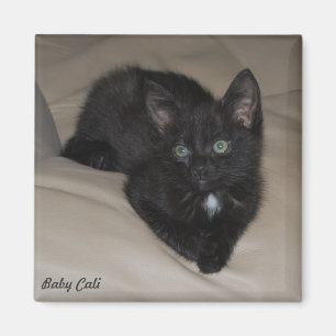 Baby Cali Magnet