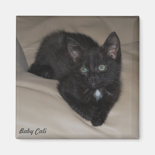 Baby Cali Magnet (Vorne)