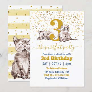 Baby Cats Perfect Party Child's Birthday Einladung