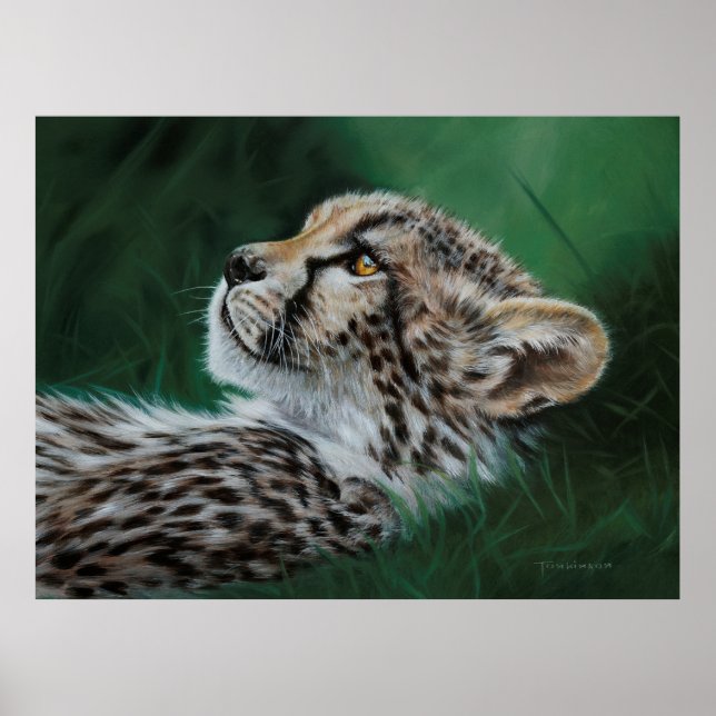 BABY CHEETAH FINE ART PRINT POSTER (Vorne)