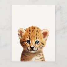 Baby Cheetah Portrait