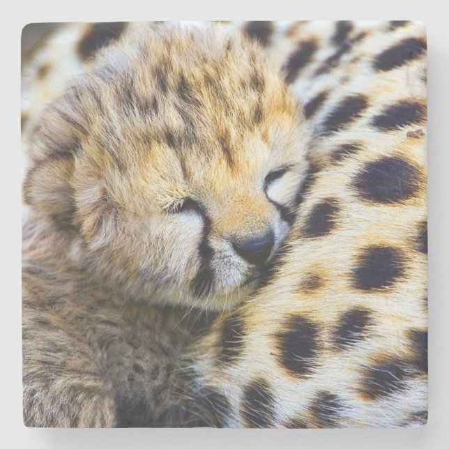 Baby Cheetah Steinuntersetzer (Vorderseite)
