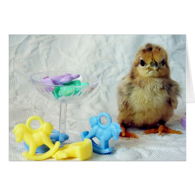 Baby Chick (Vorderseite (Horizontal))