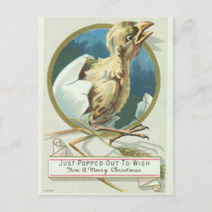 Baby Chick Viktorianische Weihnachtskarte Feiertagspostkarte