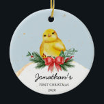 Baby Chicken Baby's First Christmas Ornament<br><div class="desc">Baby Chicken Baby's First Christmas Ornament</div>