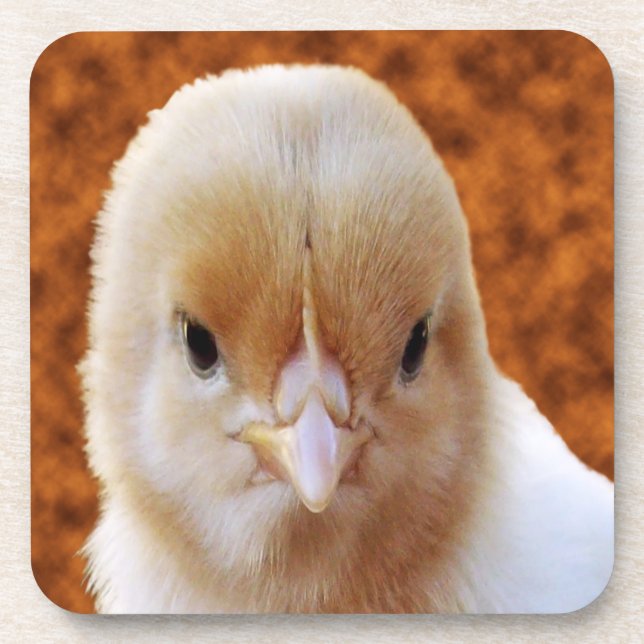 Baby Chicken Face, Untersetzer (Vorderseite)