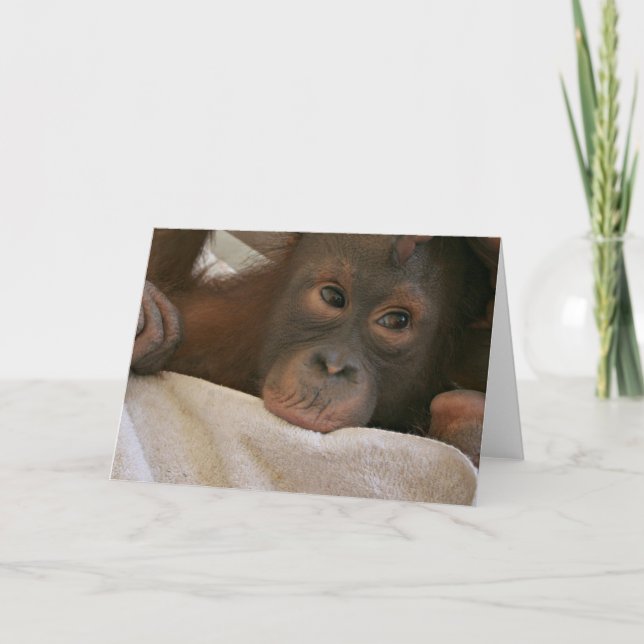 Baby Chimp Grußkarte Karte (Vorderseite)