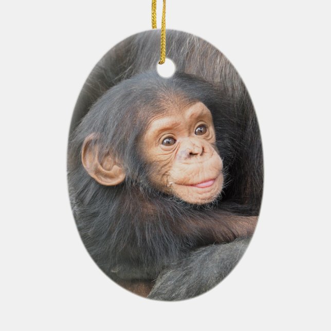 Baby Chimpanzee Keramik Ornament (Hinten)