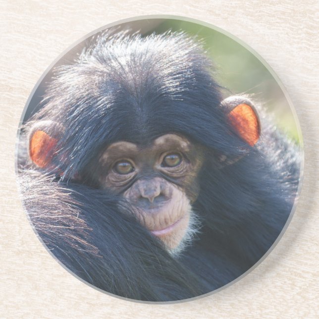 Baby Chimpanzee Reise Getränkeuntersetzer (Vorne)