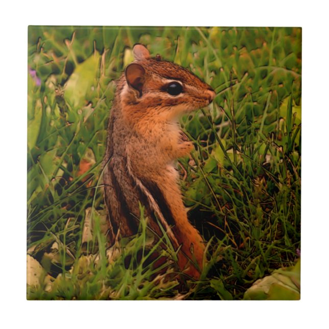 Baby Chipmunk Animal Art Fliese (Vorderseite)