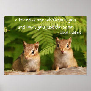 Baby Chipmunk Friends Quote Poster