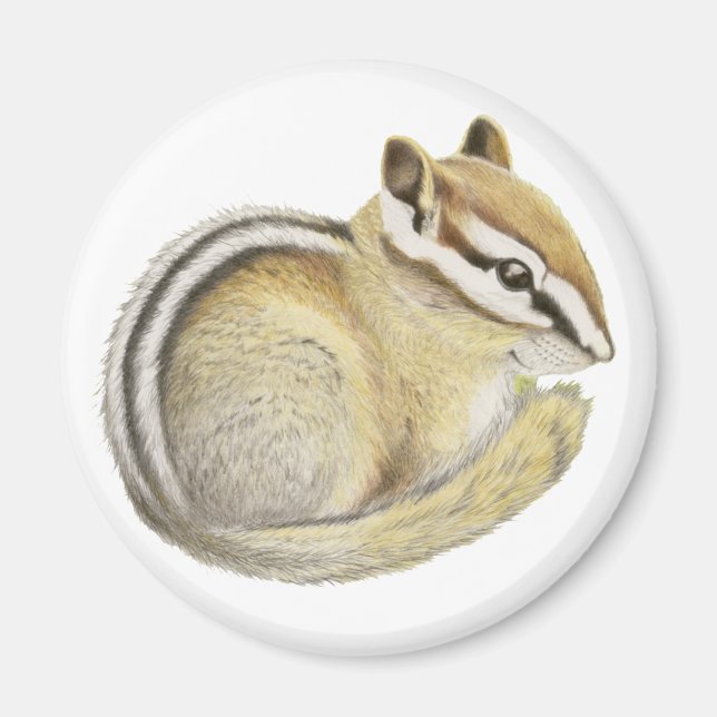 Baby Chipmunk Magnet (Vorne)