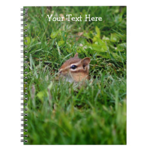 Baby Chipmunk Peeking Nature Carnet d'art