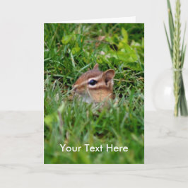 Baby Chipmunk Tierfotokarte Karte