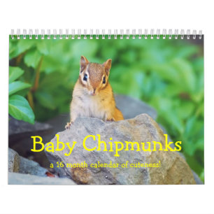 Baby Chipmunks 2014/2015 (16 Monate Kalender) Kalender