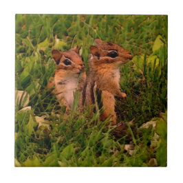 Baby Chipmunks Animal Art Fliese