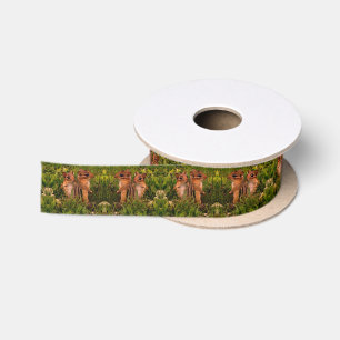 Baby Chipmunks Animal Art Satinband