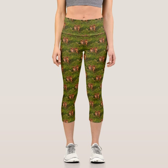 Baby Chipmunks Animal Nature Art Capri Leggings (Vorderseite)