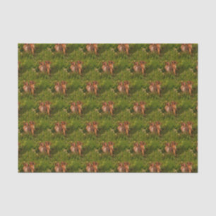 Baby Chipmunks Animal Nature Art Seidenpapier