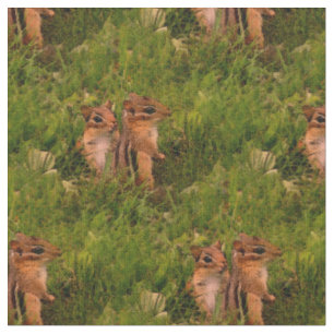 Baby Chipmunks Animal Nature Art Stoff