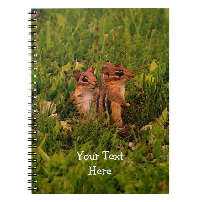 Baby Chipmunks Animal Nature Carnet d'art (Devant)