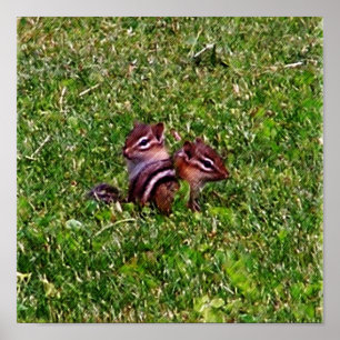 Baby Chipmunks First Day #3 Animal Poster
