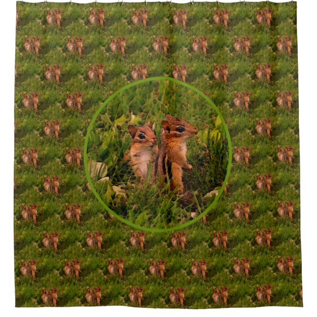 Baby Chipmunks Nature Art Pattern Duschvorhang (Vorderseite)