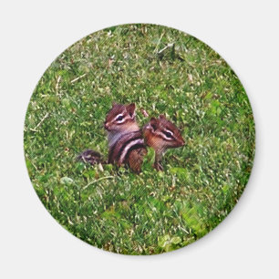 Baby Chipmunks Premier Jour Animal Magnet