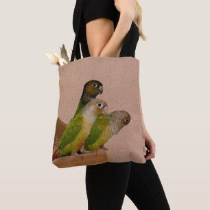 Baby Conure Parrots Bird Tasche