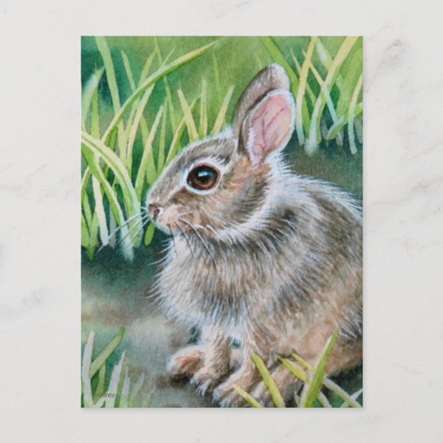 Baby Cottontail Kaninchen Wasserfarben Kunst Postkarte (Vorderseite)