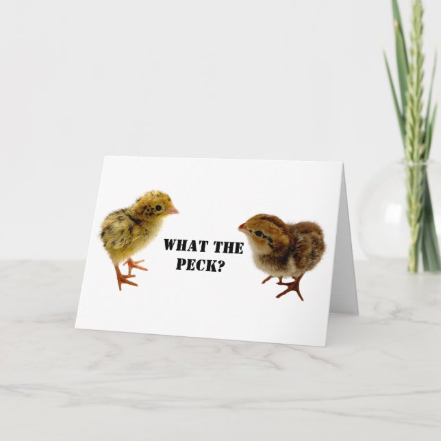 Baby Coturnix und bobwhite Quail Chicks Karte (Vorderseite)