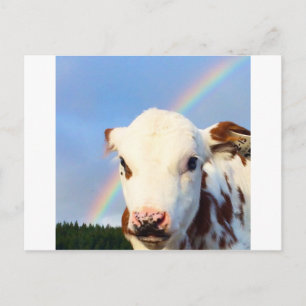 Baby Cow Postkarte