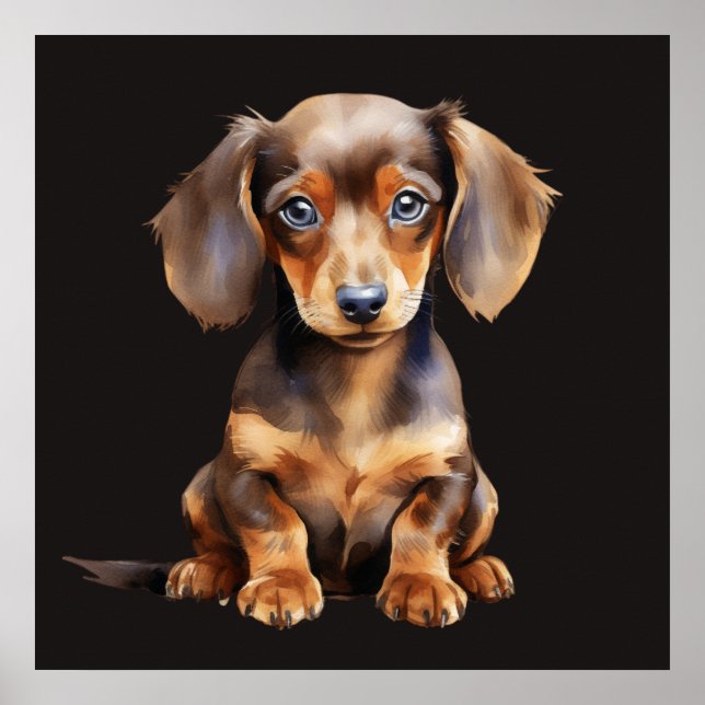 Baby Dachshund Poster (Vorne)
