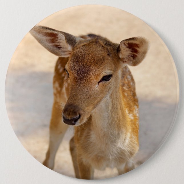 Baby Deer Button (Vorderseite)