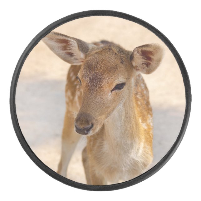 Baby Deer Eishockey Puck (Vorderseite)