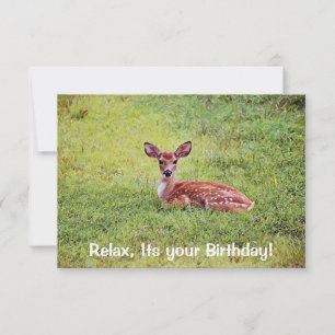 Baby Deer Fawn Relaxant Appartement Carte d'annive