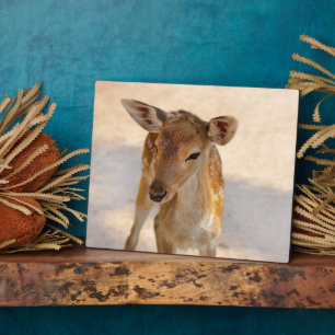 Baby Deer Fotoplatte